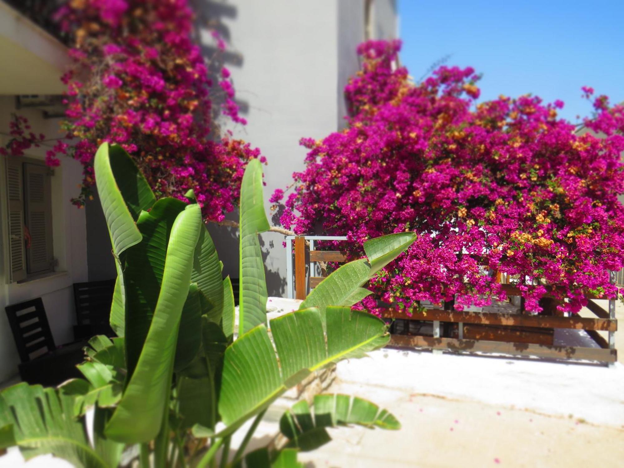 Axilleion Boutique Hotel Ermoupoli Exterior photo